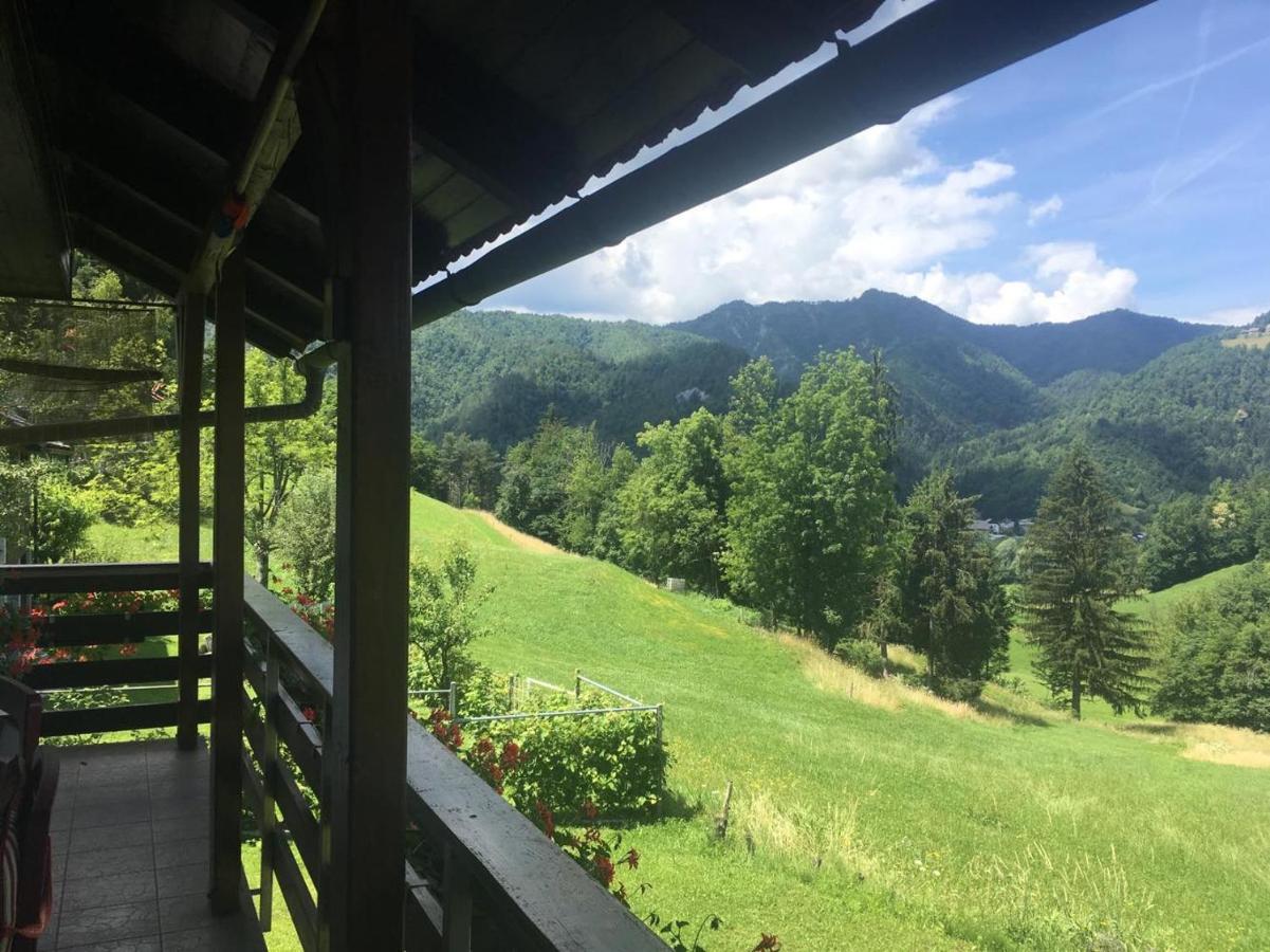 B&B Cerne Polhov Gradec エクステリア 写真