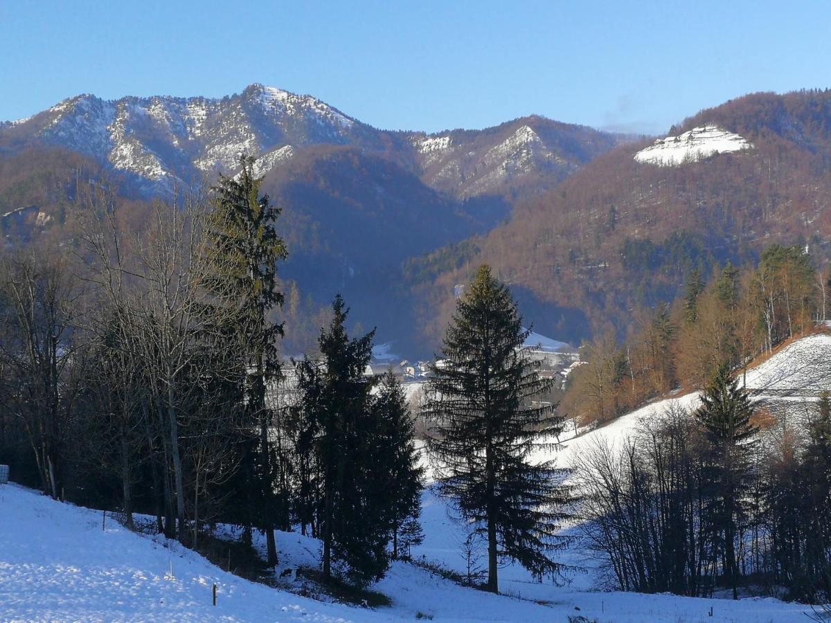 B&B Cerne Polhov Gradec エクステリア 写真