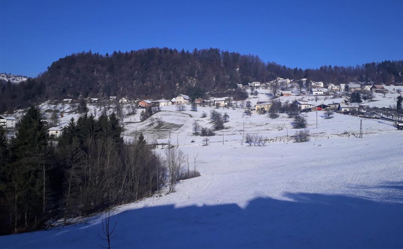 B&B Cerne Polhov Gradec エクステリア 写真