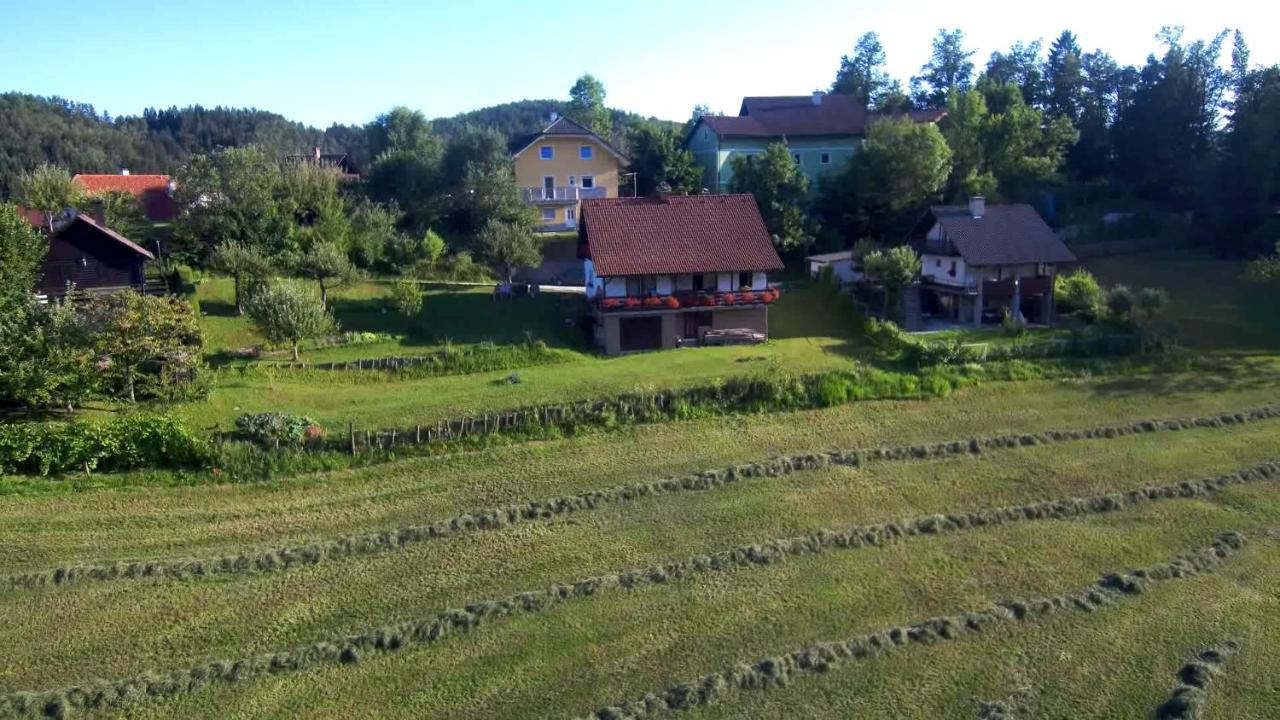 B&B Cerne Polhov Gradec エクステリア 写真